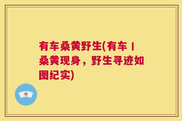 有车桑黄野生(有车丨桑黄现身，野生寻迹如图纪实)