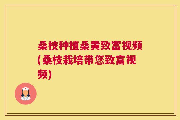 桑枝种植桑黄致富视频(桑枝栽培带您致富视频) 桑枝种植桑黄致富视频(桑枝栽培带您致富视频)