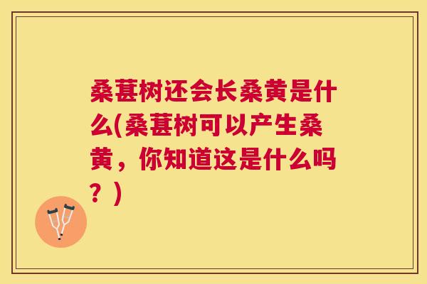 桑葚树还会长桑黄是什么(桑葚树可以产生桑黄,你知道这是什么吗?) 桑葚树还会长桑黄是什么(桑葚树可以产生桑黄,你知道这是什么吗?)