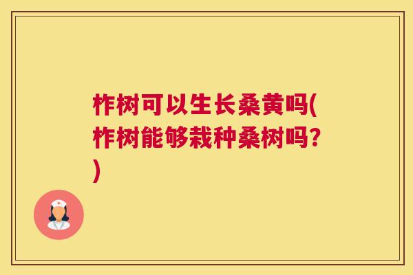 柞树可以生长桑黄吗(柞树能够栽种桑树吗?) 柞树可以生长桑黄吗(柞树能够栽种桑树吗?)