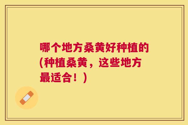 哪个地方桑黄好种植的(种植桑黄,这些地方适合!) 哪个地方桑黄好种植的(种植桑黄,这些地方适合!)