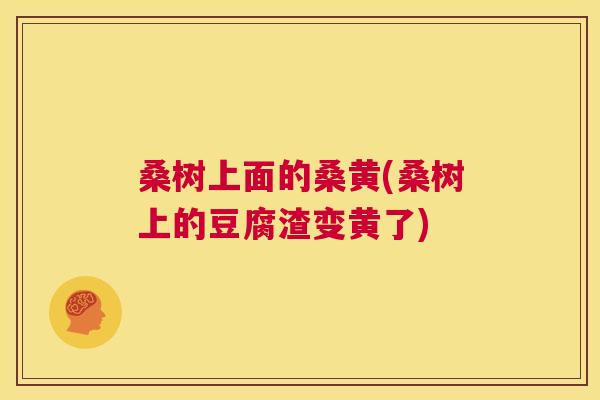 桑树上面的桑黄(桑树上的豆腐渣变黄了) 桑树上面的桑黄(桑树上的豆腐渣变黄了)