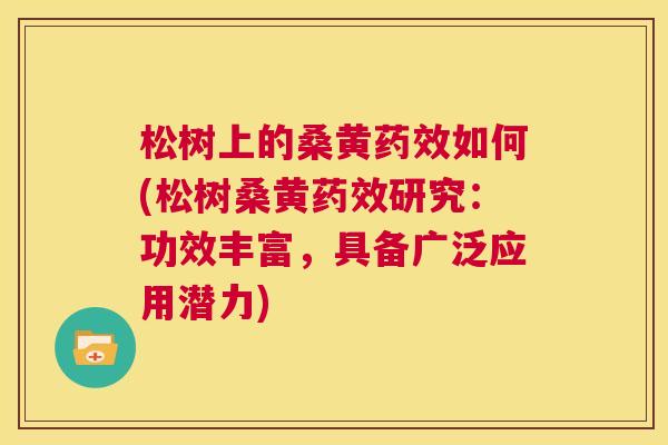 松树上的桑黄如何(松树桑黄研究:功效丰富,具备广泛应用潜力) 松树上的桑黄如何(松树桑黄研究:功效丰富,具备广泛应用潜力)