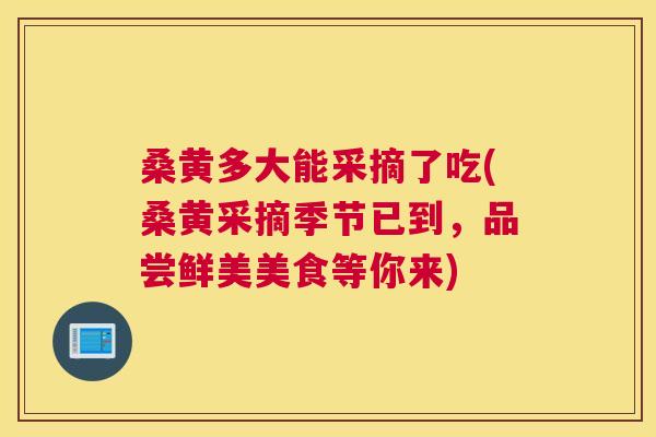桑黄多大能采摘了吃(桑黄采摘季节已到,品尝鲜美美食等你来) 桑黄多大能采摘了吃(桑黄采摘季节已到,品尝鲜美美食等你来)