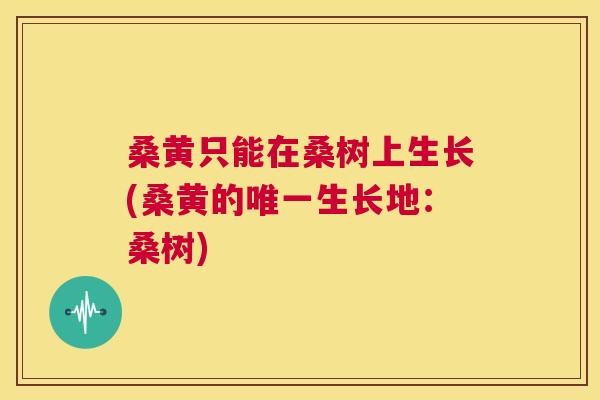 桑黄只能在桑树上生长(桑黄的生长地:桑树) 桑黄只能在桑树上生长(桑黄的生长地:桑树)