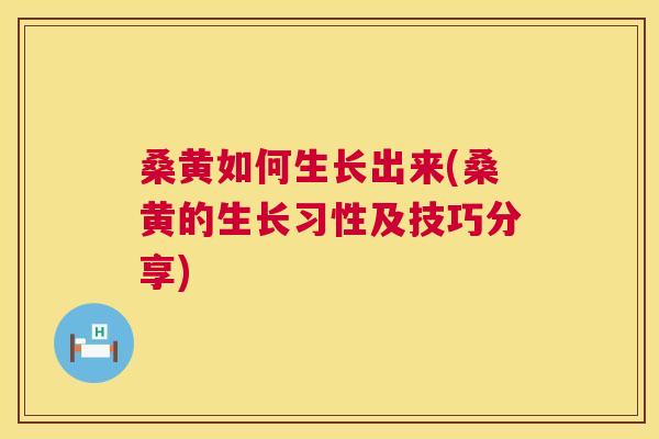 桑黄如何生长出来(桑黄的生长习性及技巧分享) 桑黄如何生长出来(桑黄的生长习性及技巧分享)