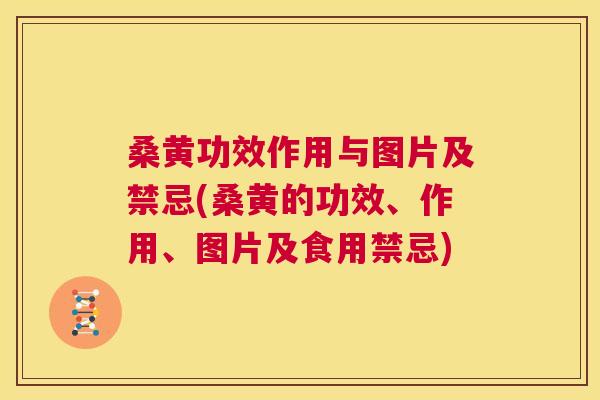 桑黄功效作用与图片及禁忌(桑黄的功效、作用、图片及食用禁忌) 桑黄功效作用与图片及禁忌(桑黄的功效、作用、图片及食用禁忌)