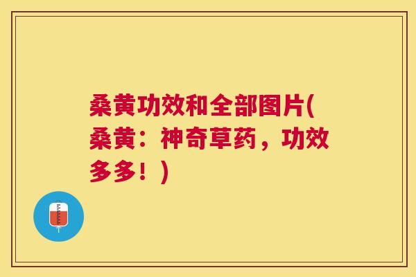 桑黄功效和全部图片(桑黄:神奇草药,功效多多!) 桑黄功效和全部图片(桑黄:神奇草药,功效多多!)