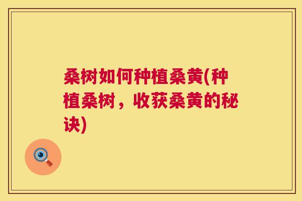 桑树如何种植桑黄(种植桑树,收获桑黄的秘诀) 桑树如何种植桑黄(种植桑树,收获桑黄的秘诀)