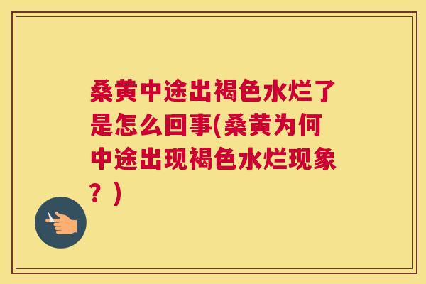 桑黄中途出褐色水烂了是怎么回事(桑黄为何中途出现褐色水烂现象?) 桑黄中途出褐色水烂了是怎么回事(桑黄为何中途出现褐色水烂现象?)