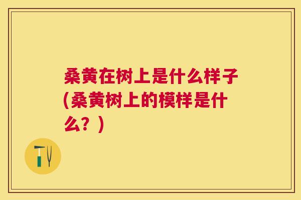 桑黄在树上是什么样子(桑黄树上的模样是什么?) 桑黄在树上是什么样子(桑黄树上的模样是什么?)