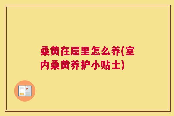 桑黄在屋里怎么养(室内桑黄养护小贴士) 桑黄在屋里怎么养(室内桑黄养护小贴士)
