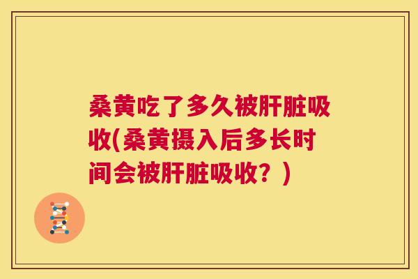 桑黄吃了多久被吸收(桑黄摄入后多长时间会被吸收?) 桑黄吃了多久被吸收(桑黄摄入后多长时间会被吸收?)
