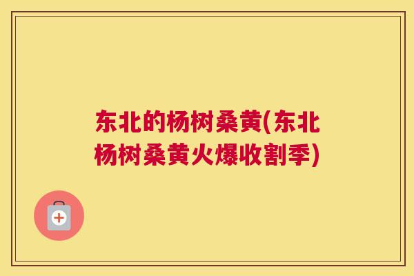 东北的杨树桑黄(东北杨树桑黄火爆收割季) 东北的杨树桑黄(东北杨树桑黄火爆收割季)