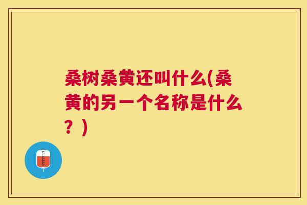 桑树桑黄还叫什么(桑黄的另一个名称是什么?) 桑树桑黄还叫什么(桑黄的另一个名称是什么?)