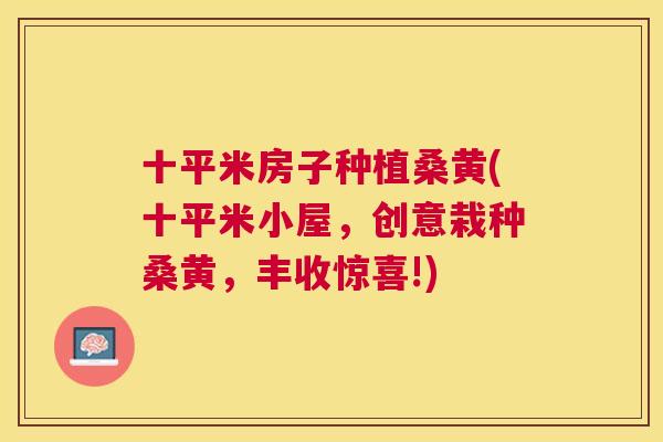 十平米房子种植桑黄(十平米小屋,创意栽种桑黄,丰收惊喜!) 十平米房子种植桑黄(十平米小屋,创意栽种桑黄,丰收惊喜!)