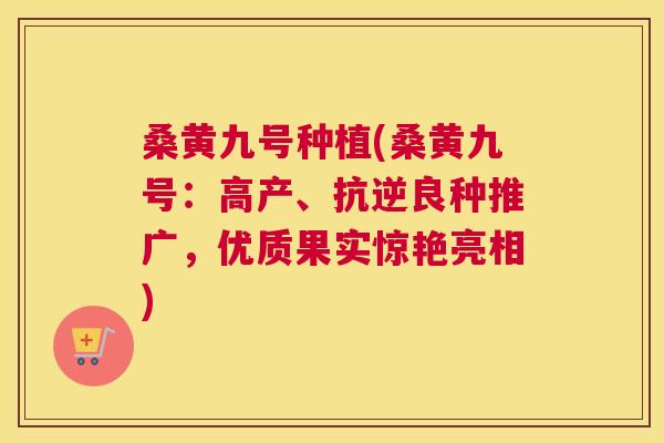 桑黄九号种植(桑黄九号:高产、抗逆良种推广,优质果实惊艳亮相) 桑黄九号种植(桑黄九号:高产、抗逆良种推广,优质果实惊艳亮相)