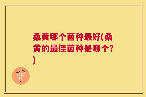 桑黄哪个菌种好(桑黄的佳菌种是哪个?) 桑黄哪个菌种好(桑黄的佳菌种是哪个?)