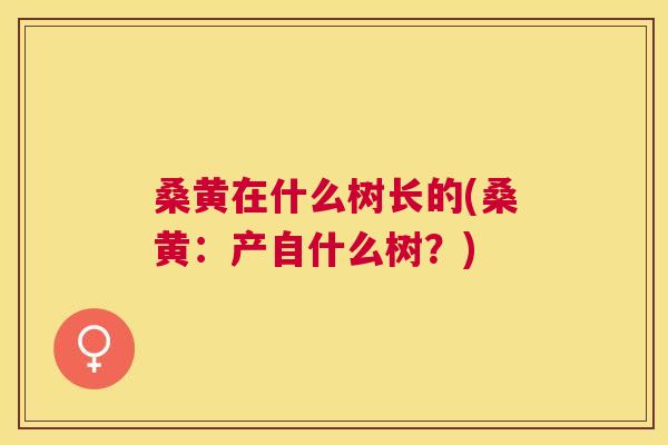 桑黄在什么树长的(桑黄:产自什么树?) 桑黄在什么树长的(桑黄:产自什么树?)