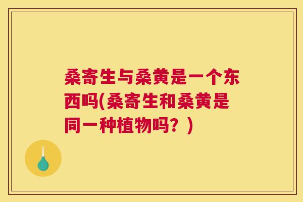 桑寄生与桑黄是一个东西吗(桑寄生和桑黄是同一种植物吗?) 桑寄生与桑黄是一个东西吗(桑寄生和桑黄是同一种植物吗?)