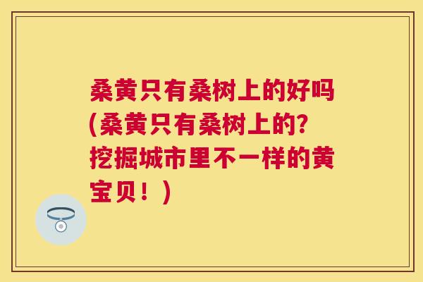 桑黄只有桑树上的好吗(桑黄只有桑树上的?挖掘城市里不一样的黄宝贝!) 桑黄只有桑树上的好吗(桑黄只有桑树上的?挖掘城市里不一样的黄宝贝!)