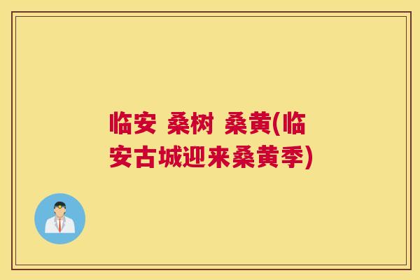 临安 桑树 桑黄(临安古城迎来桑黄季) 临安 桑树 桑黄(临安古城迎来桑黄季)