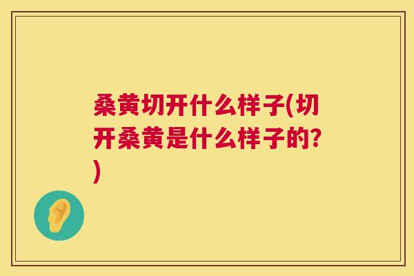桑黄切开什么样子(切开桑黄是什么样子的?) 桑黄切开什么样子(切开桑黄是什么样子的?)