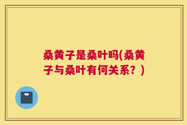 桑黄子是桑叶吗(桑黄子与桑叶有何关系?) 桑黄子是桑叶吗(桑黄子与桑叶有何关系?)