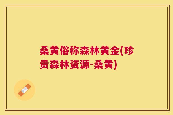 桑黄俗称森林黄金(珍贵森林资源-桑黄) 桑黄俗称森林黄金(珍贵森林资源-桑黄)