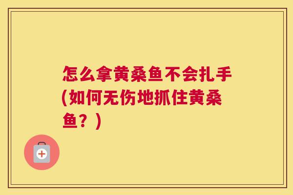 怎么拿黄桑鱼不会扎手(如何无伤地抓住黄桑鱼?) 怎么拿黄桑鱼不会扎手(如何无伤地抓住黄桑鱼?)