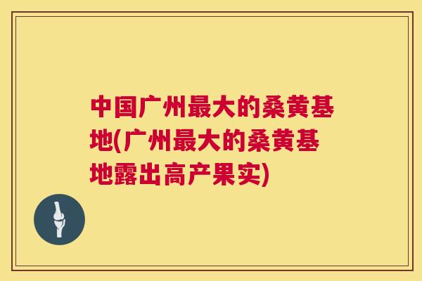 中国广州大的桑黄基地(广州大的桑黄基地露出高产果实) 中国广州大的桑黄基地(广州大的桑黄基地露出高产果实)