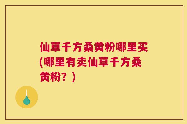 仙草千方桑黄粉哪里买(哪里有卖仙草千方桑黄粉?) 仙草千方桑黄粉哪里买(哪里有卖仙草千方桑黄粉?)