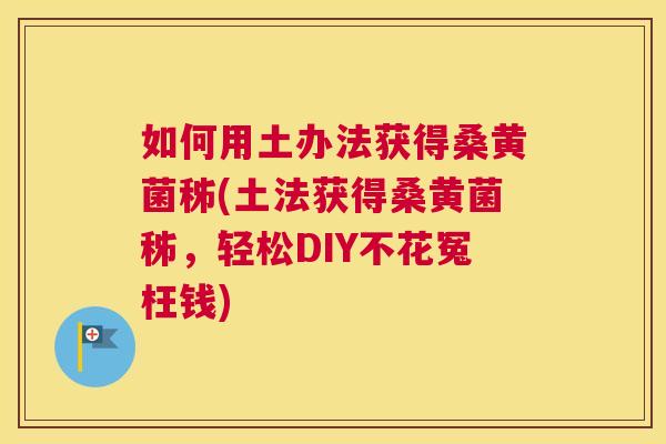 如何用土办法获得桑黄菌秭(土法获得桑黄菌秭,轻松DIY不花冤枉钱) 如何用土办法获得桑黄菌秭(土法获得桑黄菌秭,轻松DIY不花冤枉钱)