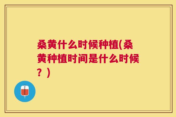 桑黄什么时候种植(桑黄种植时间是什么时候?) 桑黄什么时候种植(桑黄种植时间是什么时候?)
