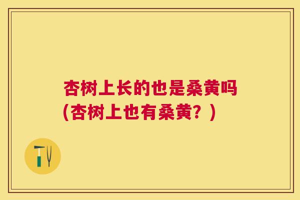 杏树上长的也是桑黄吗(杏树上也有桑黄?) 杏树上长的也是桑黄吗(杏树上也有桑黄?)