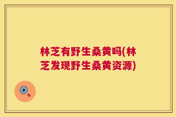 林芝有野生桑黄吗(林芝发现野生桑黄资源) 林芝有野生桑黄吗(林芝发现野生桑黄资源)