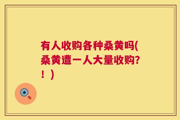 有人收购各种桑黄吗(桑黄遭一人大量收购?!) 有人收购各种桑黄吗(桑黄遭一人大量收购?!)