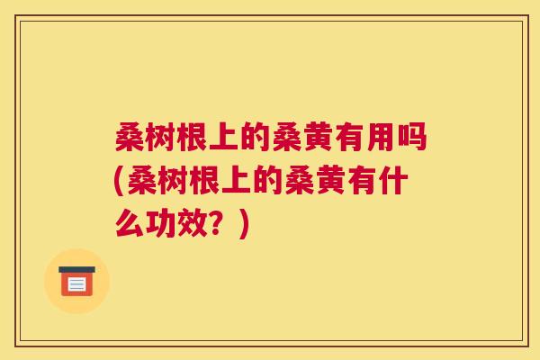 桑树根上的桑黄有用吗(桑树根上的桑黄有什么功效?) 桑树根上的桑黄有用吗(桑树根上的桑黄有什么功效?)