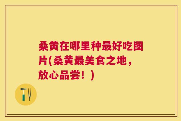 桑黄在哪里种好吃图片(桑黄美食之地,放心品尝!) 桑黄在哪里种好吃图片(桑黄美食之地,放心品尝!)