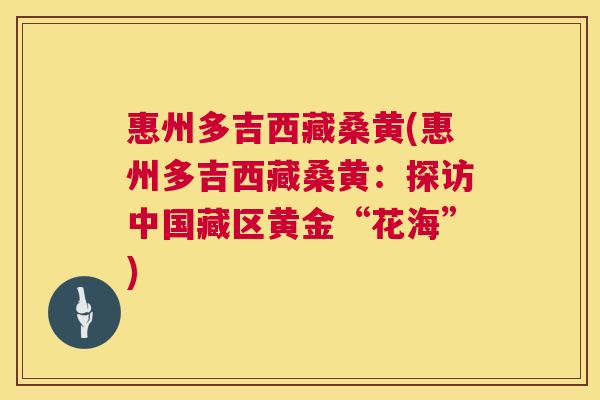 惠州多吉西藏桑黄(惠州多吉西藏桑黄:探访中国藏区黄金“花海”) 惠州多吉西藏桑黄(惠州多吉西藏桑黄:探访中国藏区黄金“花海”)