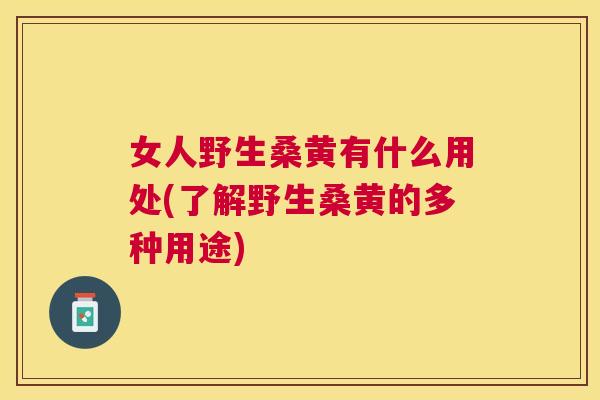 女人野生桑黄有什么用处(了解野生桑黄的多种用途) 女人野生桑黄有什么用处(了解野生桑黄的多种用途)