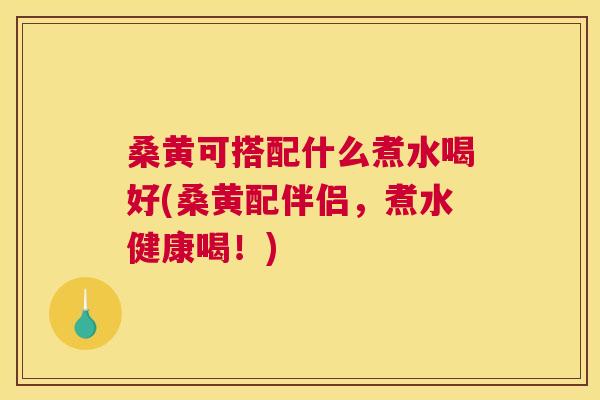 桑黄可搭配什么煮水喝好(桑黄配伴侣,煮水健康喝!) 桑黄可搭配什么煮水喝好(桑黄配伴侣,煮水健康喝!)