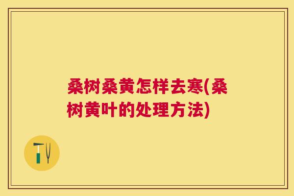 桑树桑黄怎样去寒(桑树黄叶的处理方法) 桑树桑黄怎样去寒(桑树黄叶的处理方法)