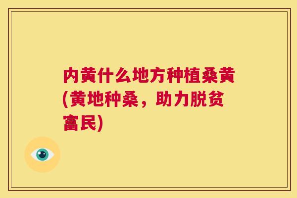 内黄什么地方种植桑黄(黄地种桑,助力脱贫富民) 内黄什么地方种植桑黄(黄地种桑,助力脱贫富民)