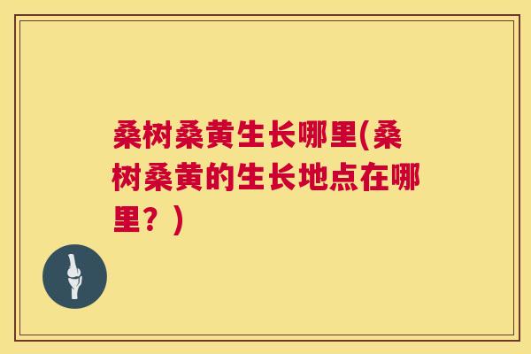 桑树桑黄生长哪里(桑树桑黄的生长地点在哪里?) 桑树桑黄生长哪里(桑树桑黄的生长地点在哪里?)