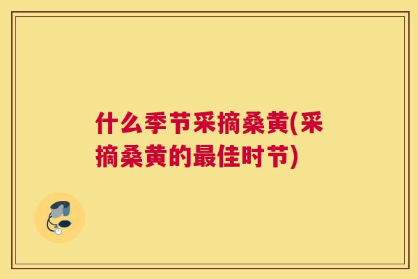 什么季节采摘桑黄(采摘桑黄的佳时节) 什么季节采摘桑黄(采摘桑黄的佳时节)
