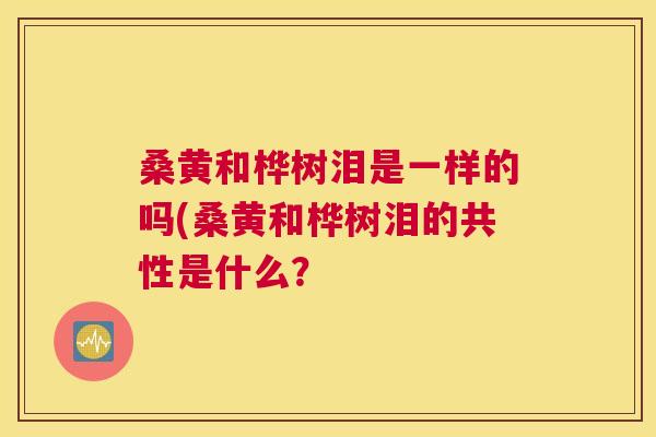 桑黄和桦树泪是一样的吗(桑黄和桦树泪的共性是什么? 桑黄和桦树泪是一样的吗(桑黄和桦树泪的共性是什么?