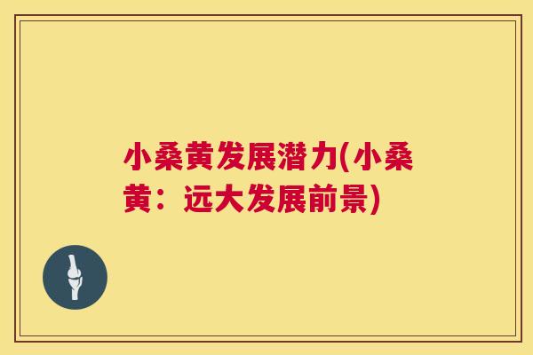 小桑黄发展潜力(小桑黄:远大发展前景) 小桑黄发展潜力(小桑黄:远大发展前景)