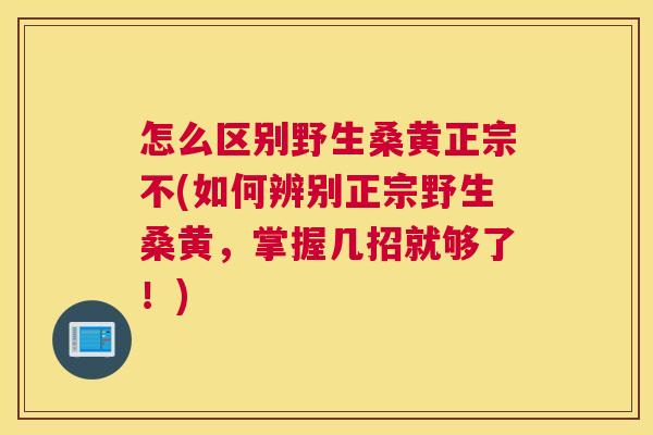 怎么区别野生桑黄正宗不(如何辨别正宗野生桑黄,掌握几招就够了!) 怎么区别野生桑黄正宗不(如何辨别正宗野生桑黄,掌握几招就够了!)