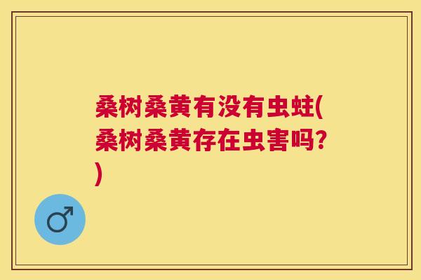 桑树桑黄有没有虫蛀(桑树桑黄存在虫害吗?) 桑树桑黄有没有虫蛀(桑树桑黄存在虫害吗?)